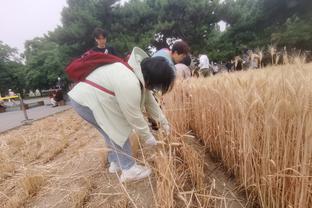 津媒：津门虎队今日赴泰国，已敲定和韩国延世大学队踢两场热身赛